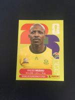 Panini FIFA World Cup Sticker RSA 9